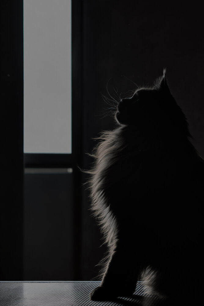 Photograph by Алеся Ермошкина