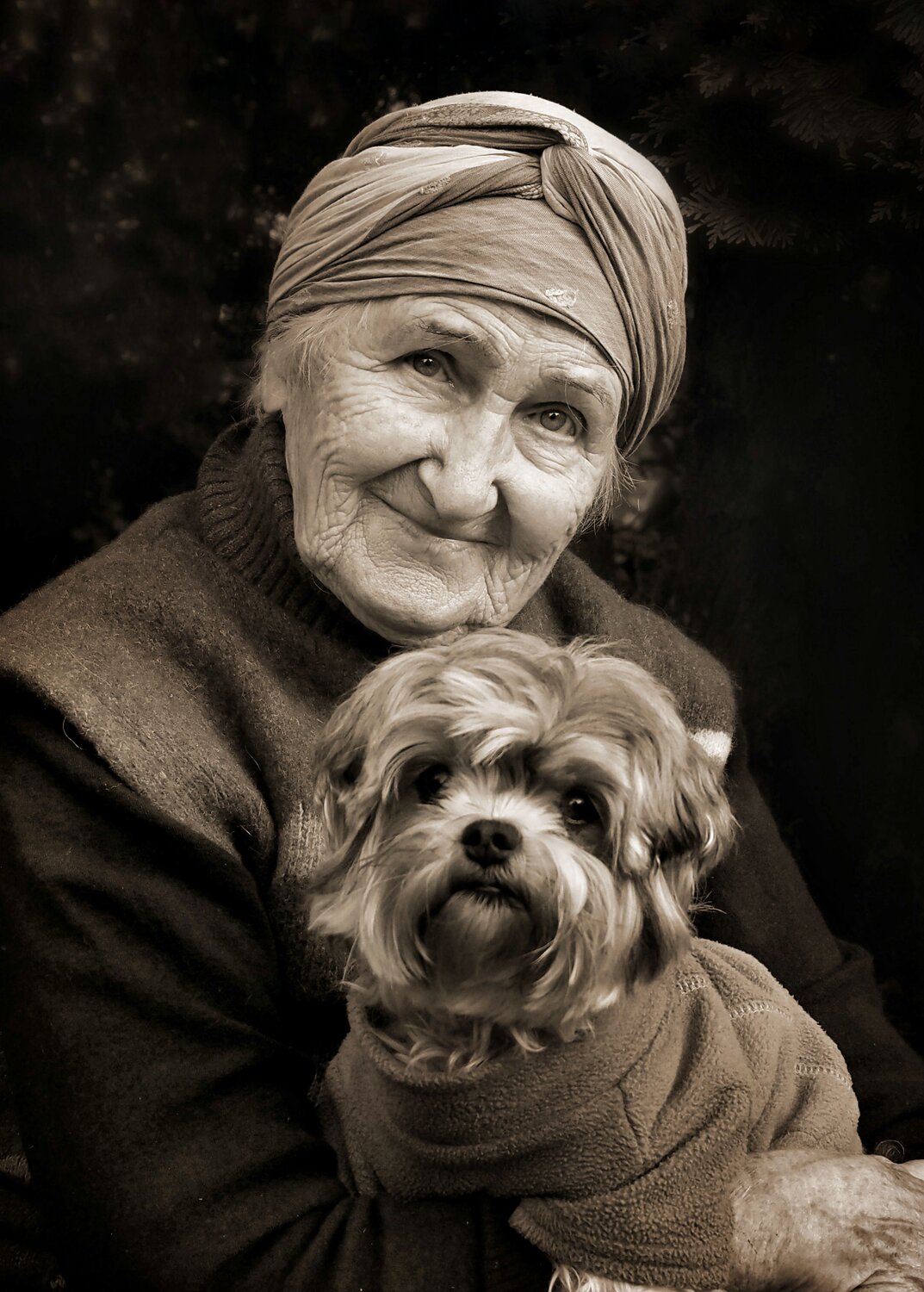 Photo #14039889