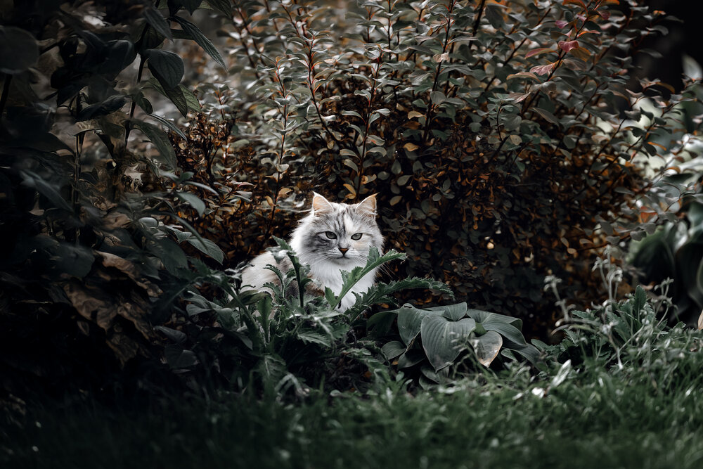Photograph by Алеся Ермошкина