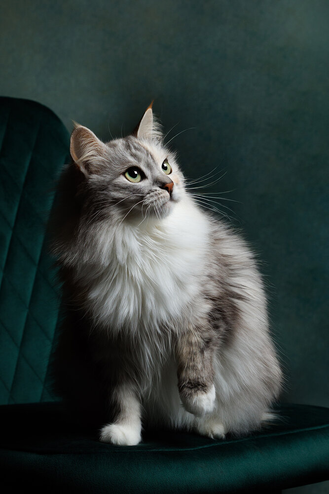 Photograph by Алеся Ермошкина