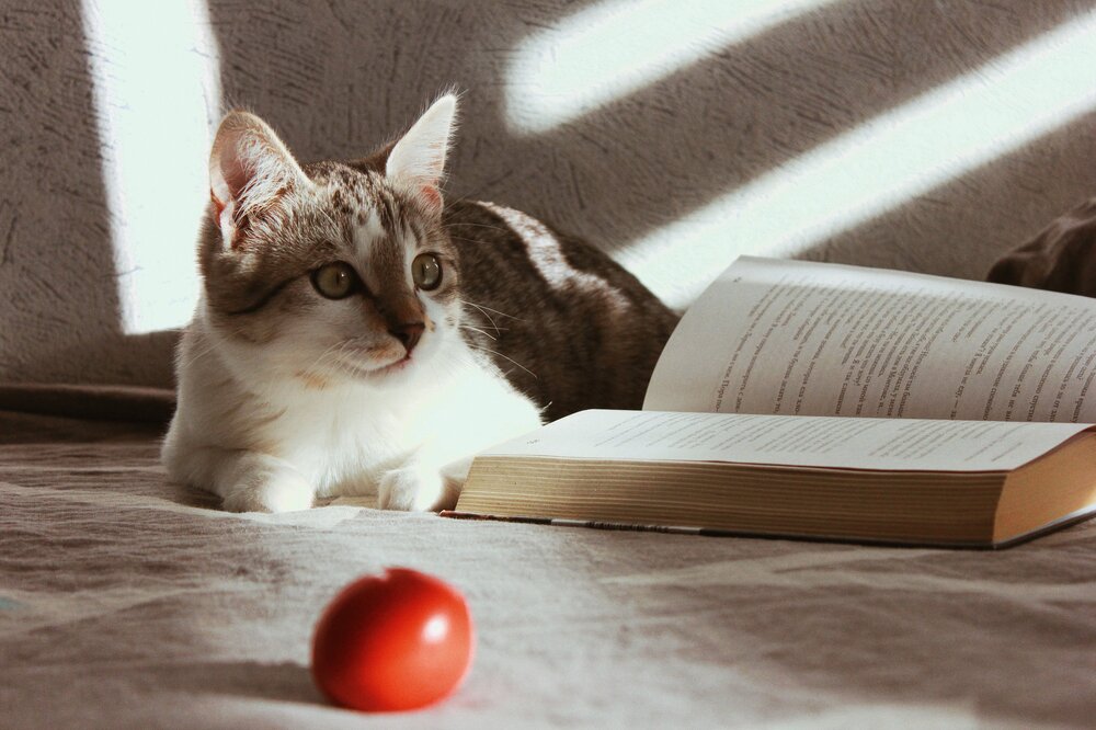 Photograph by Liudmila Pilets