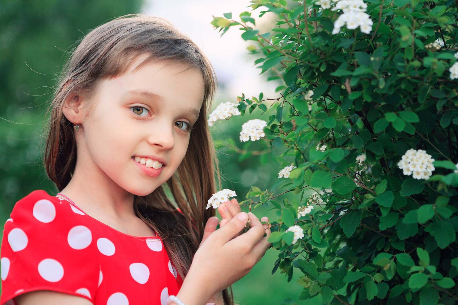 Photo #14039977