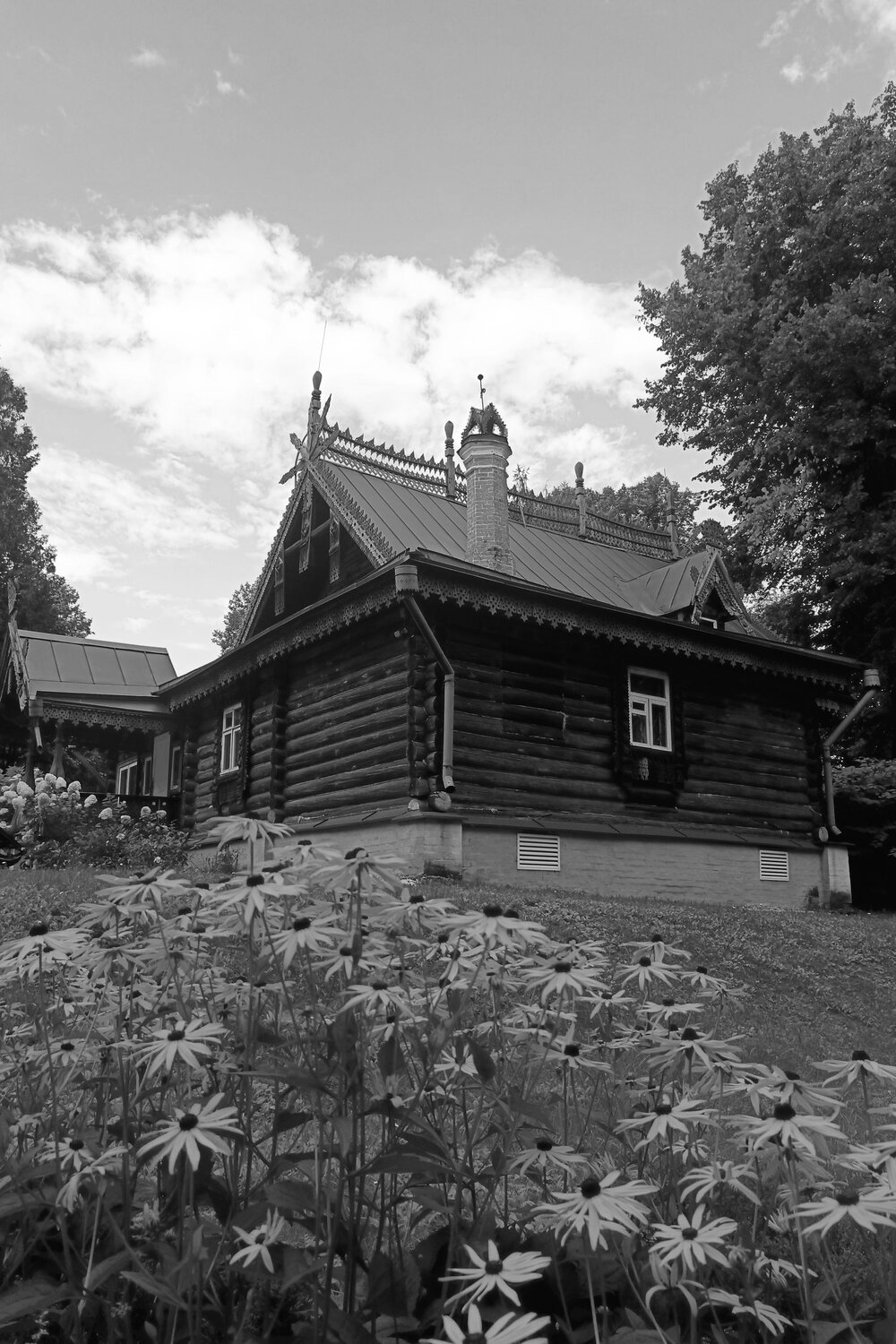 Photo #14039982