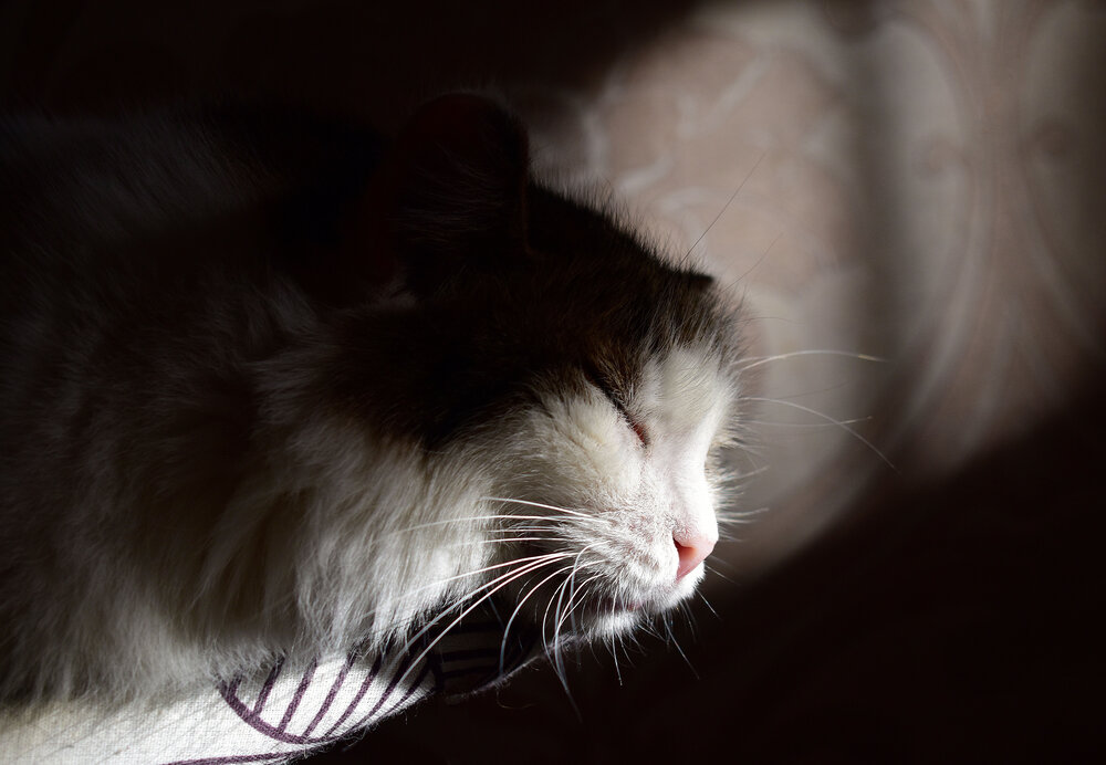Photograph by Галина Купцова