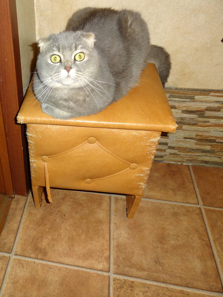 Photo #14039999
