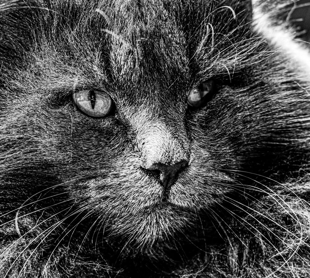 Photograph by Марина Халатова