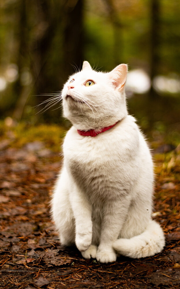 Photograph by Марина Халатова