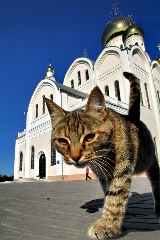 Photograph by Вадим Левин