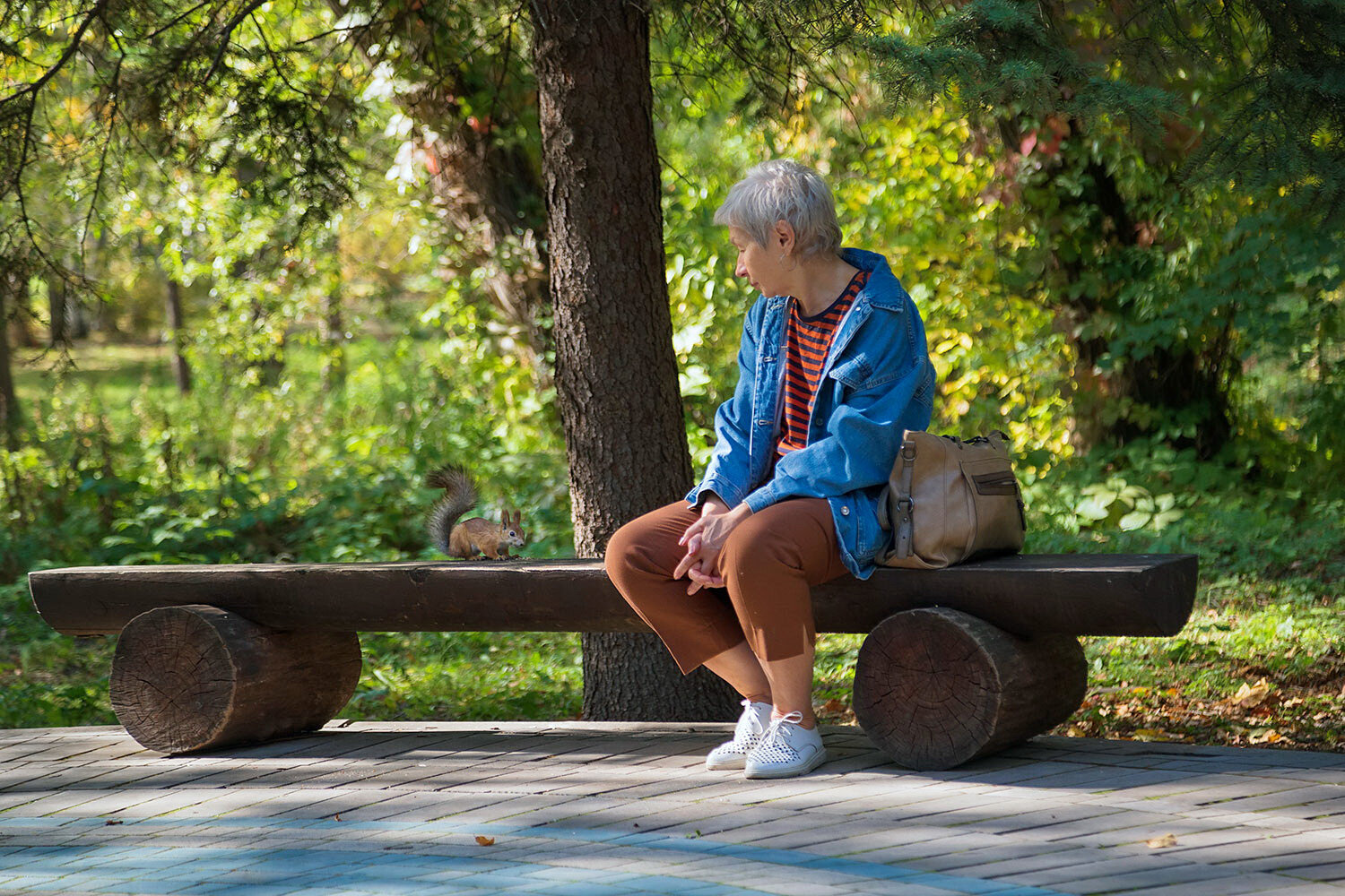 Photo #14040087