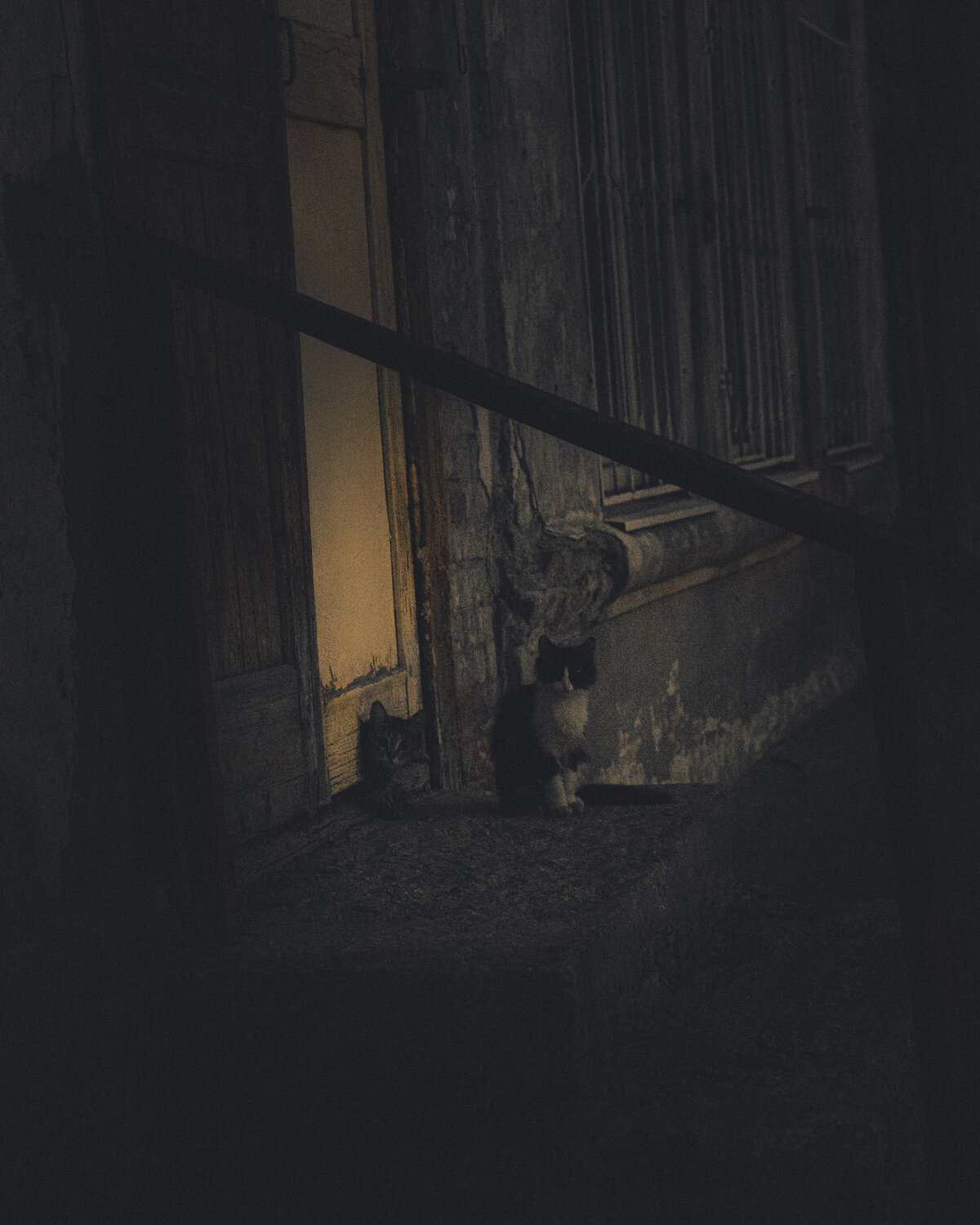 Photo #14040088