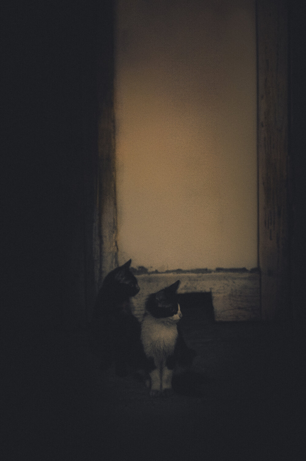 Photo #14040089