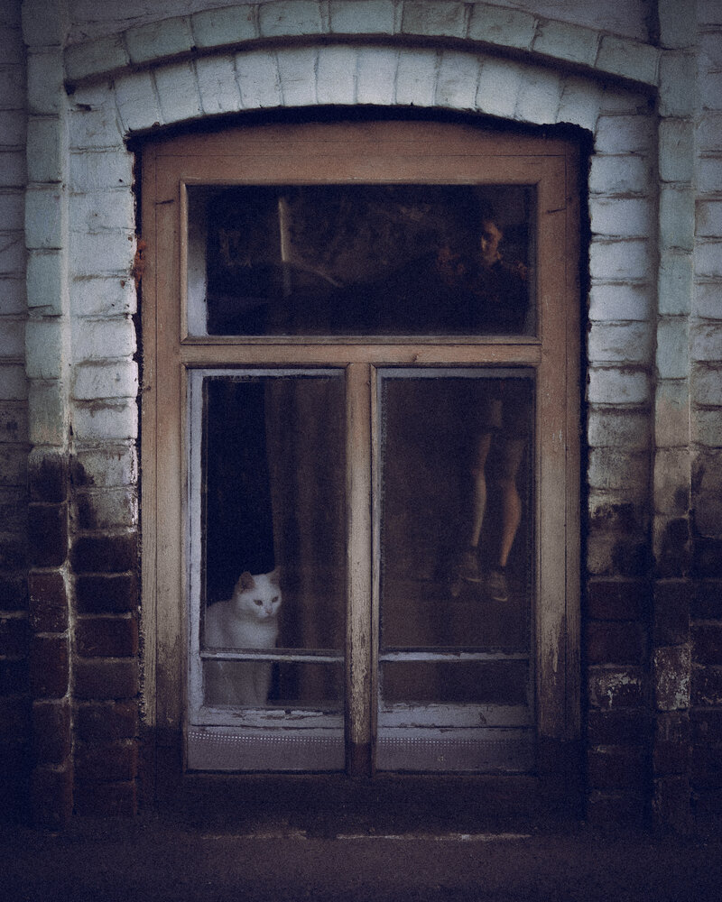 Photograph by Chistiakova Anna