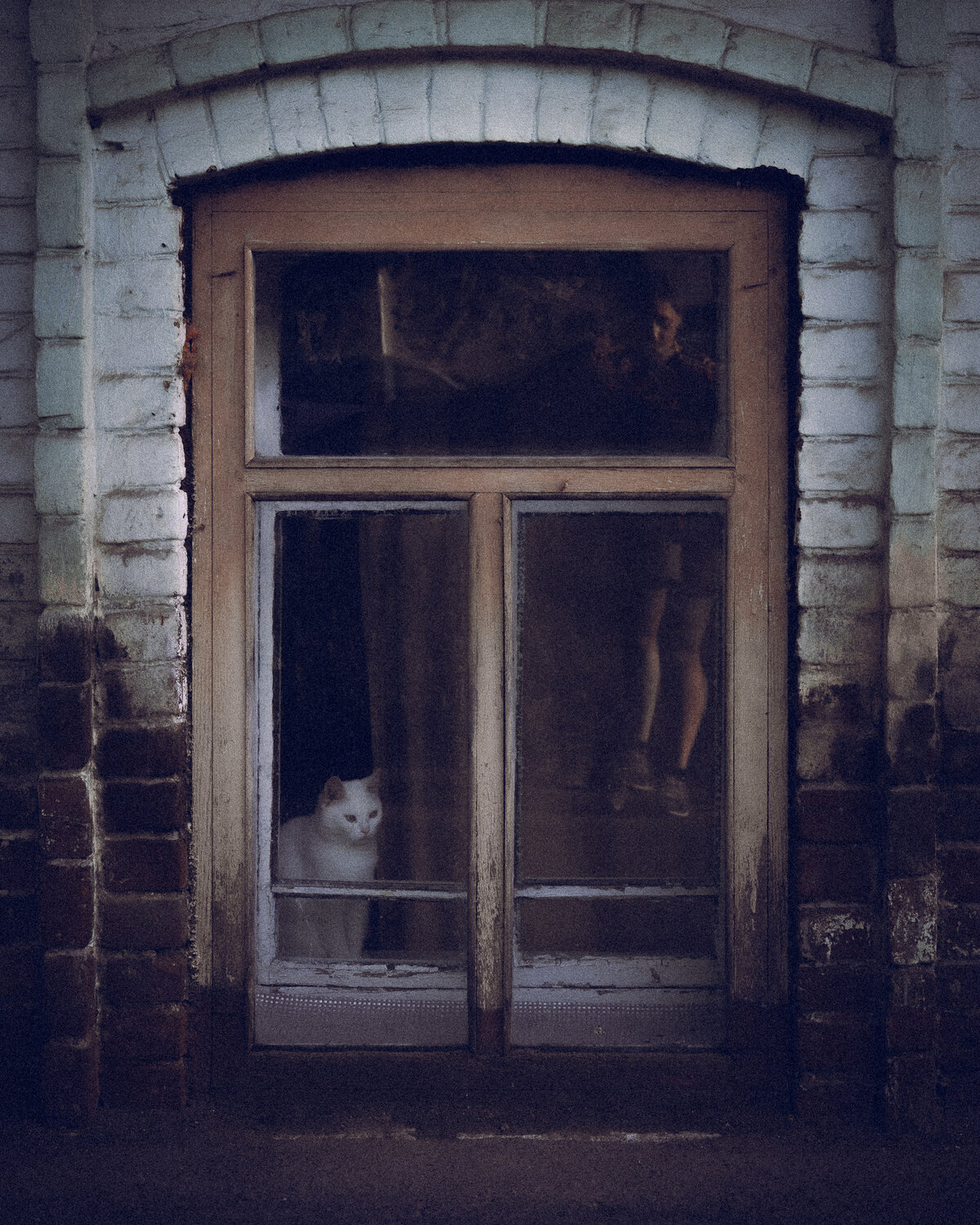 Photo #14040090