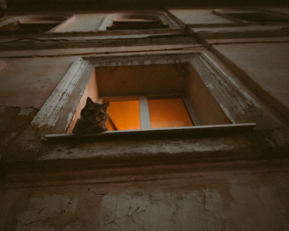 Photograph by Chistiakova Anna