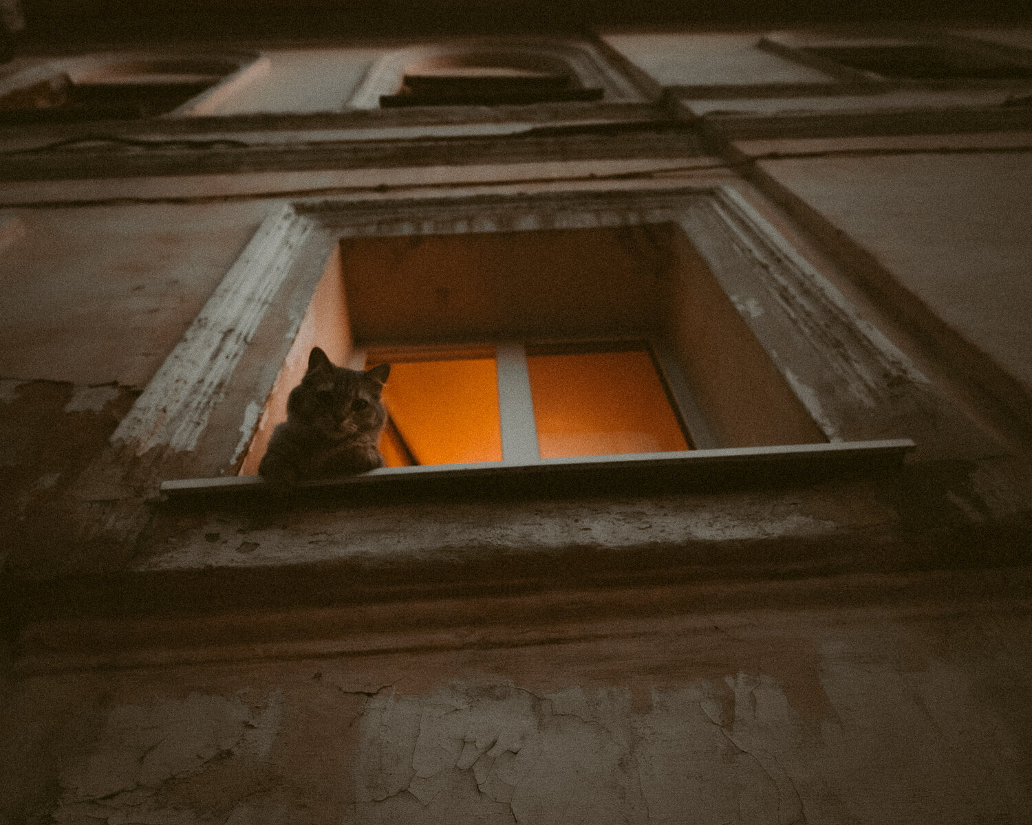 Photo #14040091