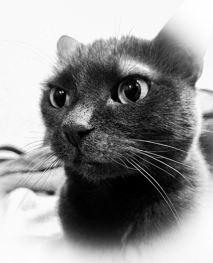 Photograph by Марина Халатова