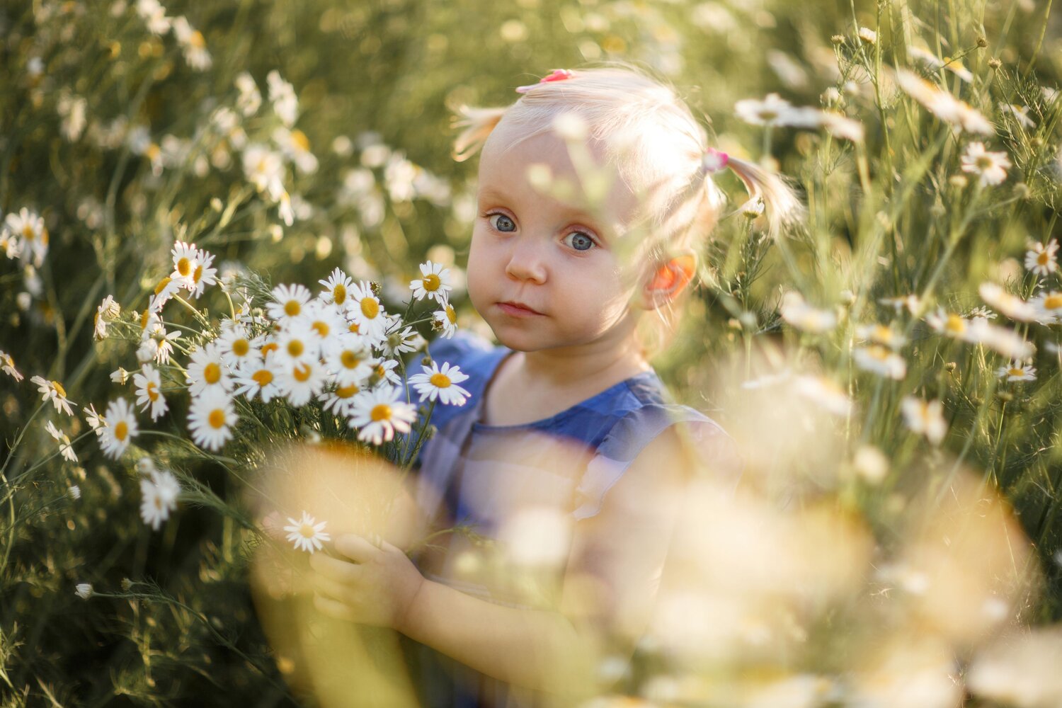 Photo #14040144
