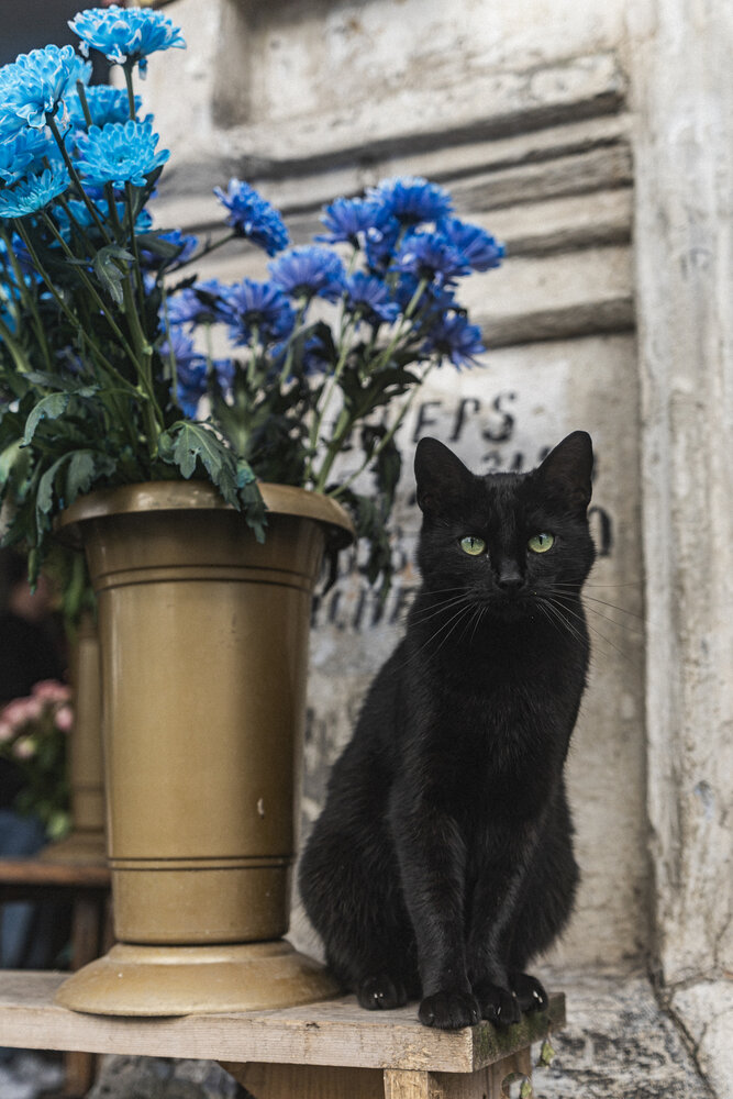Photograph by Алексей Чмыхалов