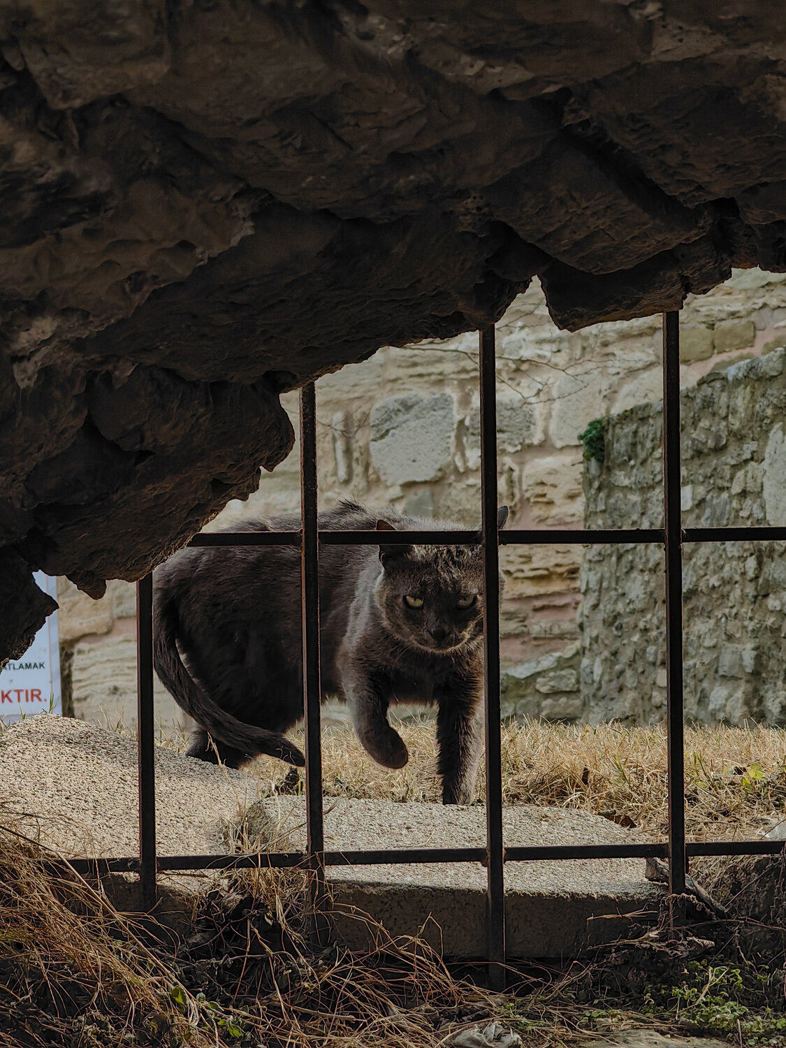 Photo #14040172
