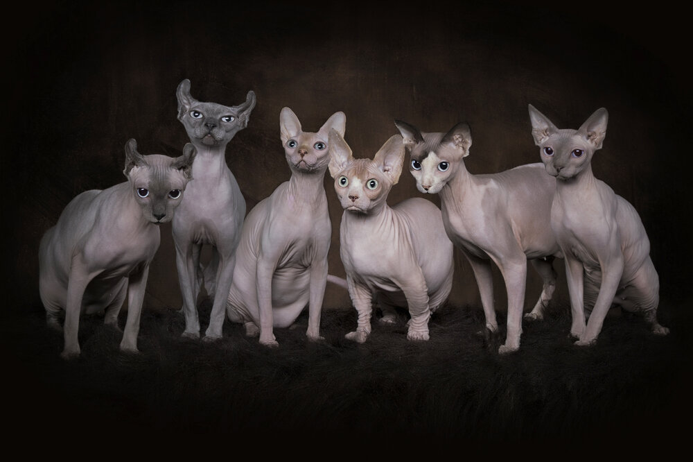 Photograph by Carola Kayen-Mouthaan