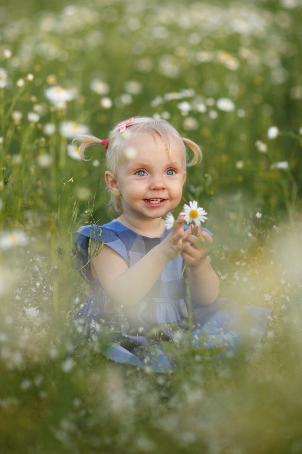 Photo #14040245