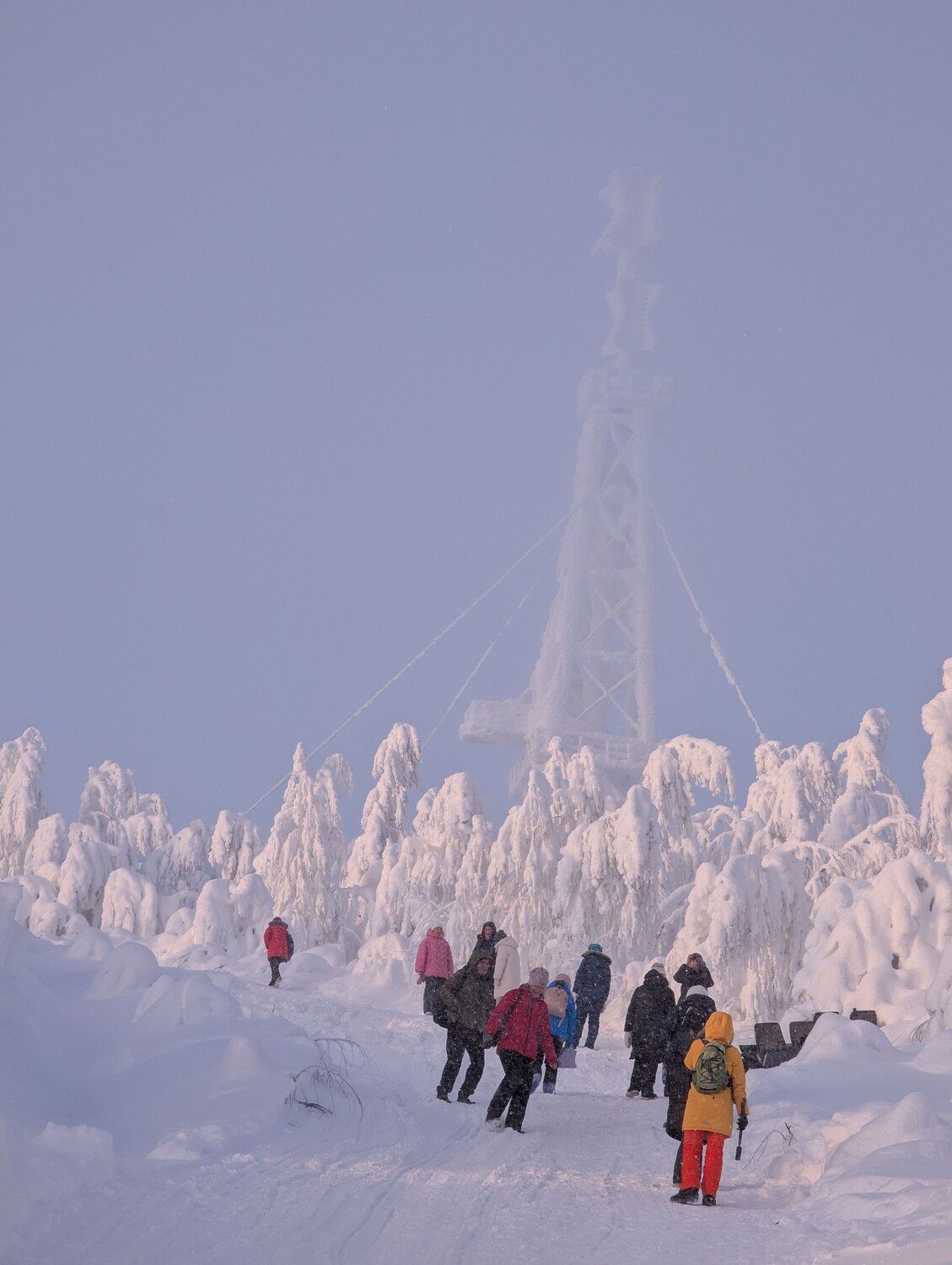 At the Edge of the White World