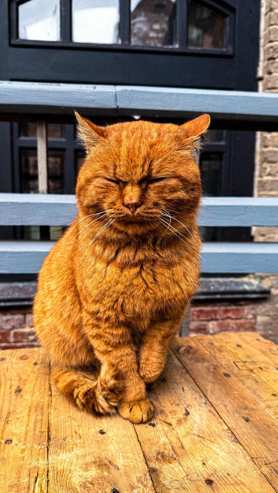 Photograph by Виктория Володько