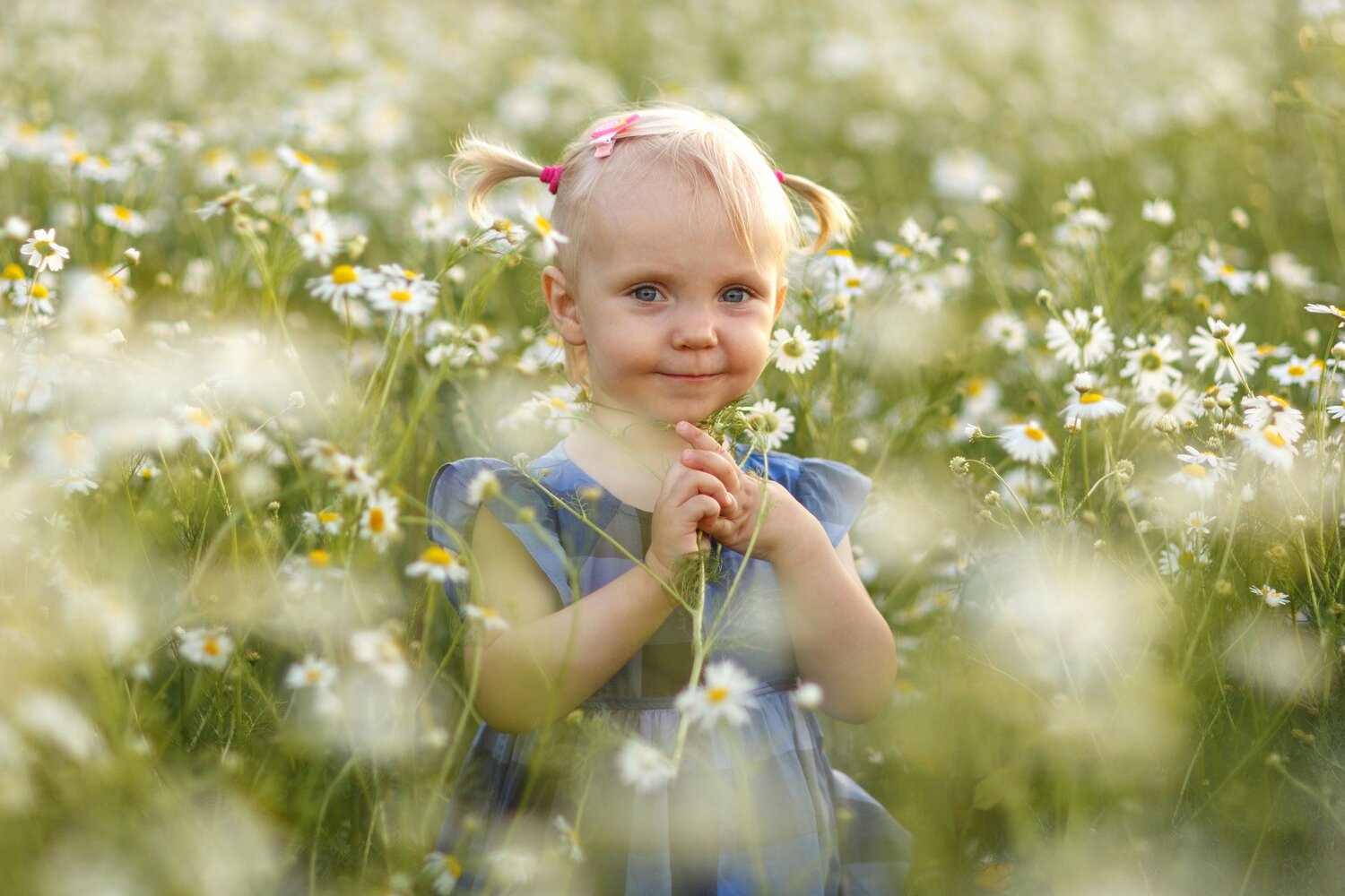 Photo #14040274