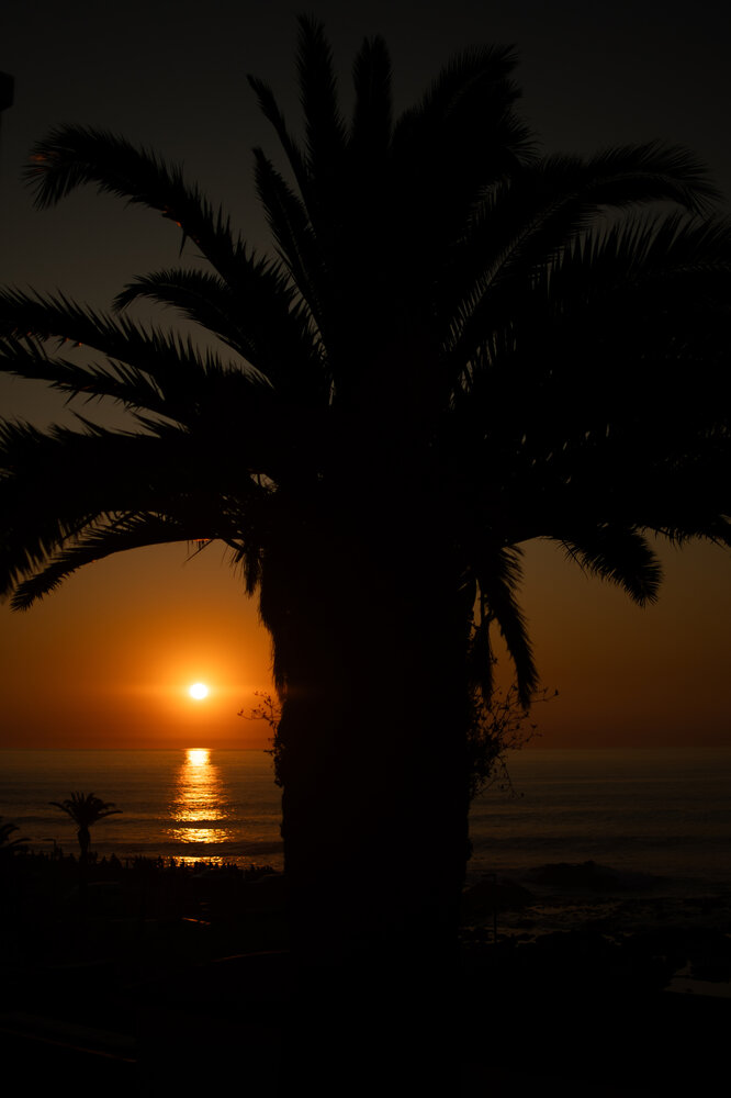 Photograph by Evgeniia Zorina