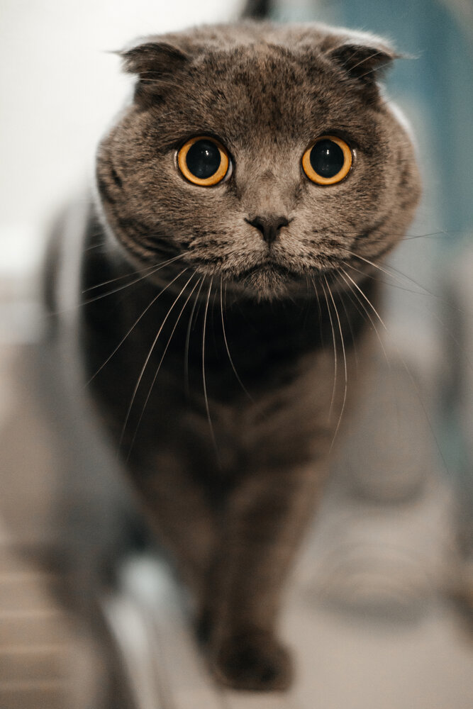 Фотография автора Марина