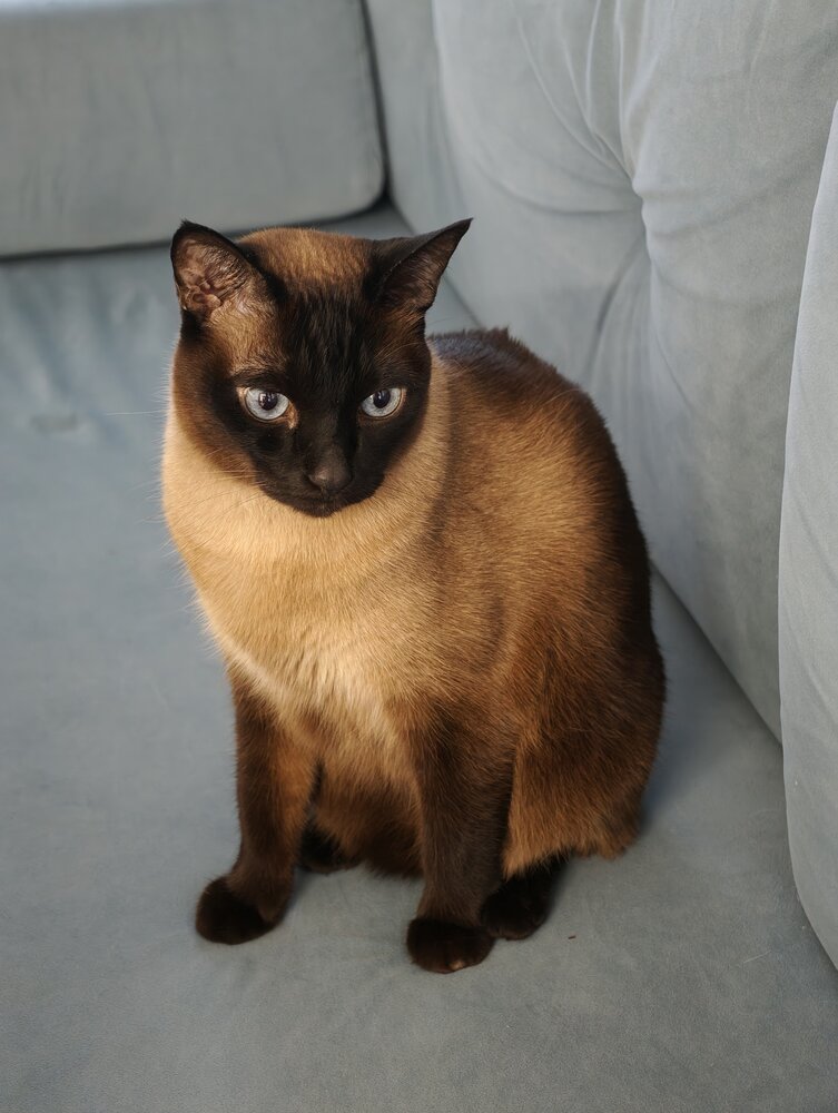 Photo #14040380