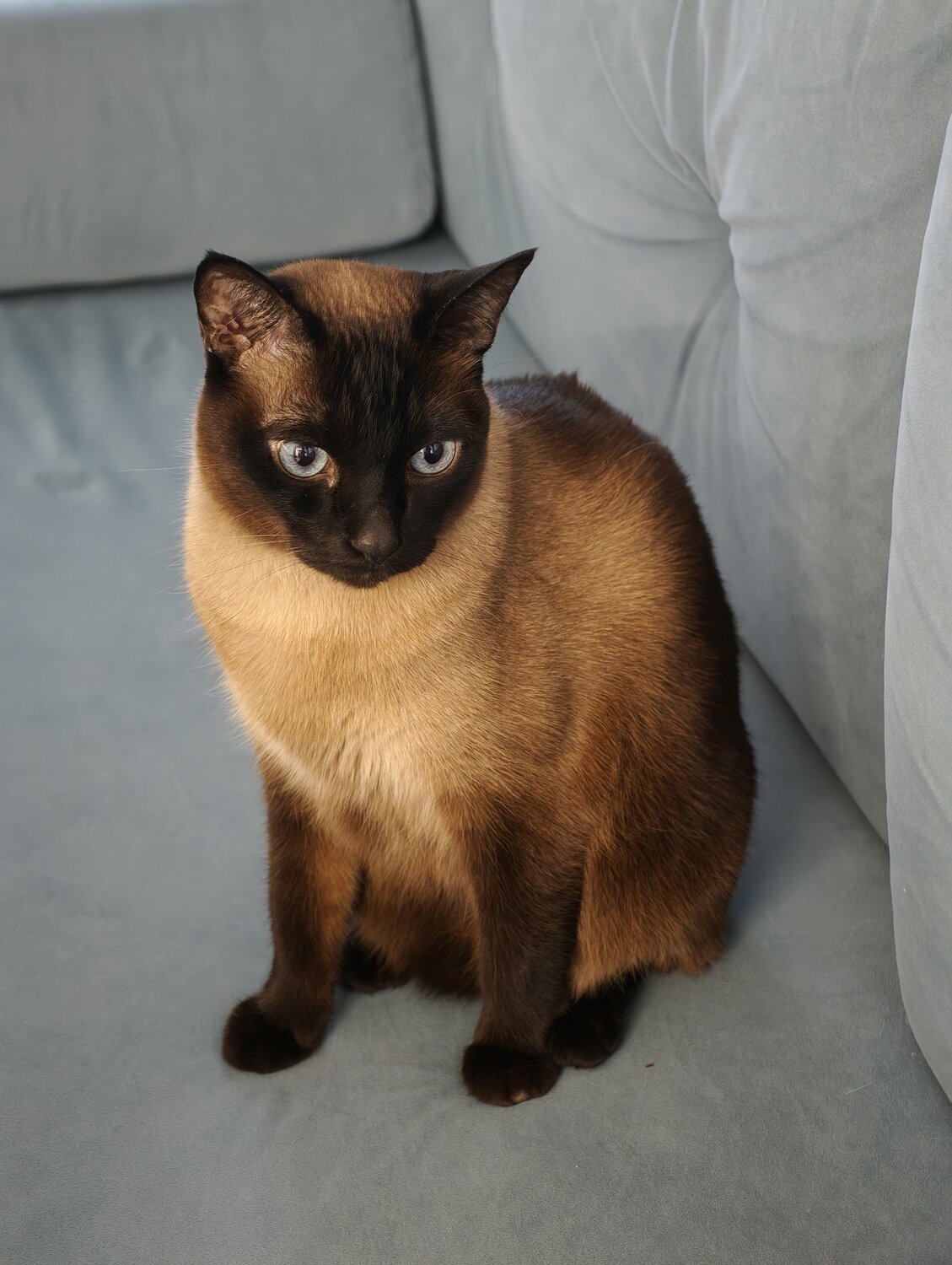 Photo #14040380