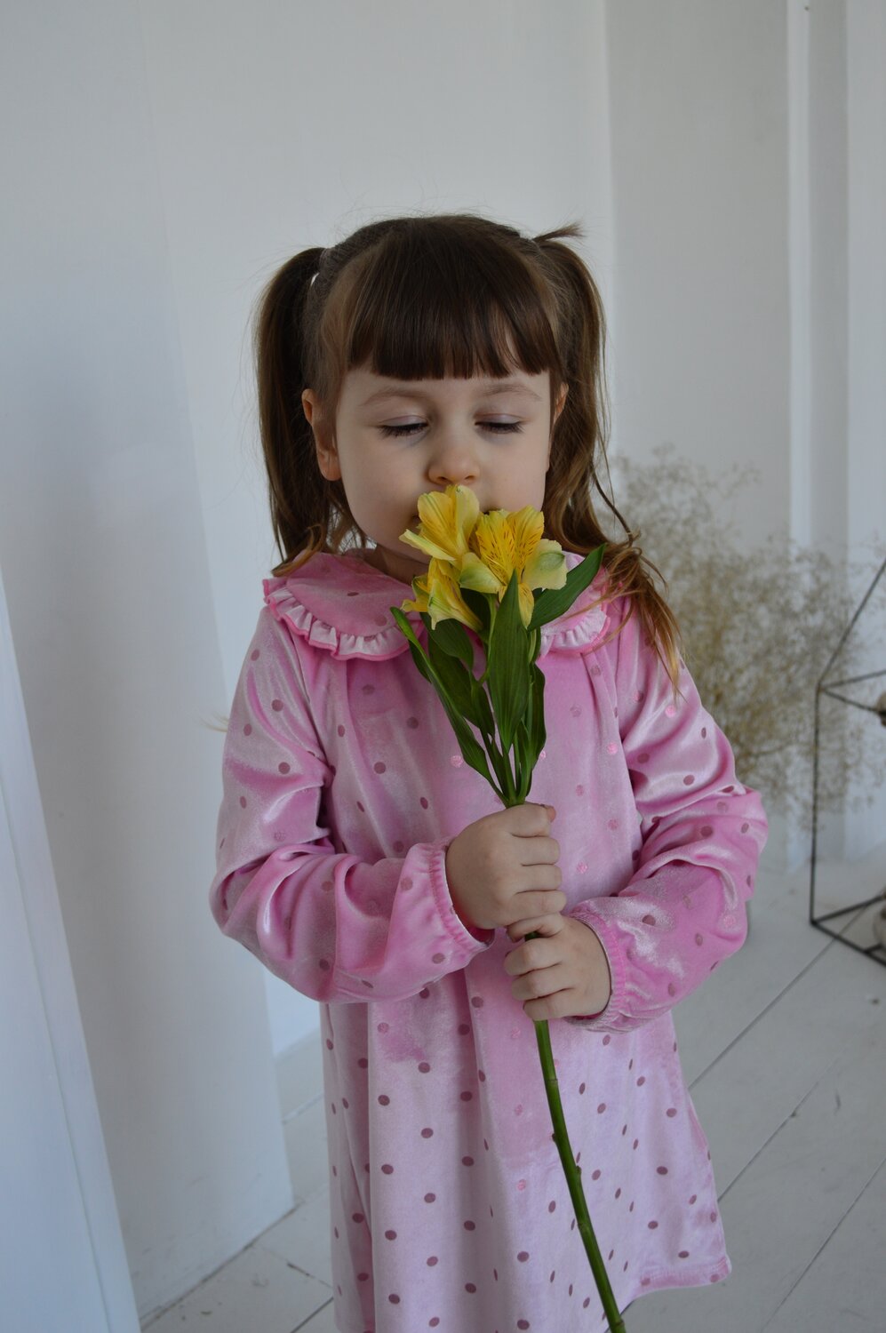 Photo #14040387