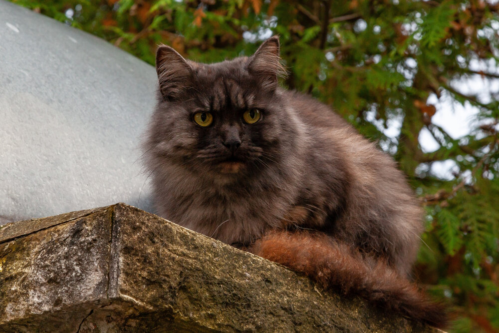 Photograph by Владислав Лопатов