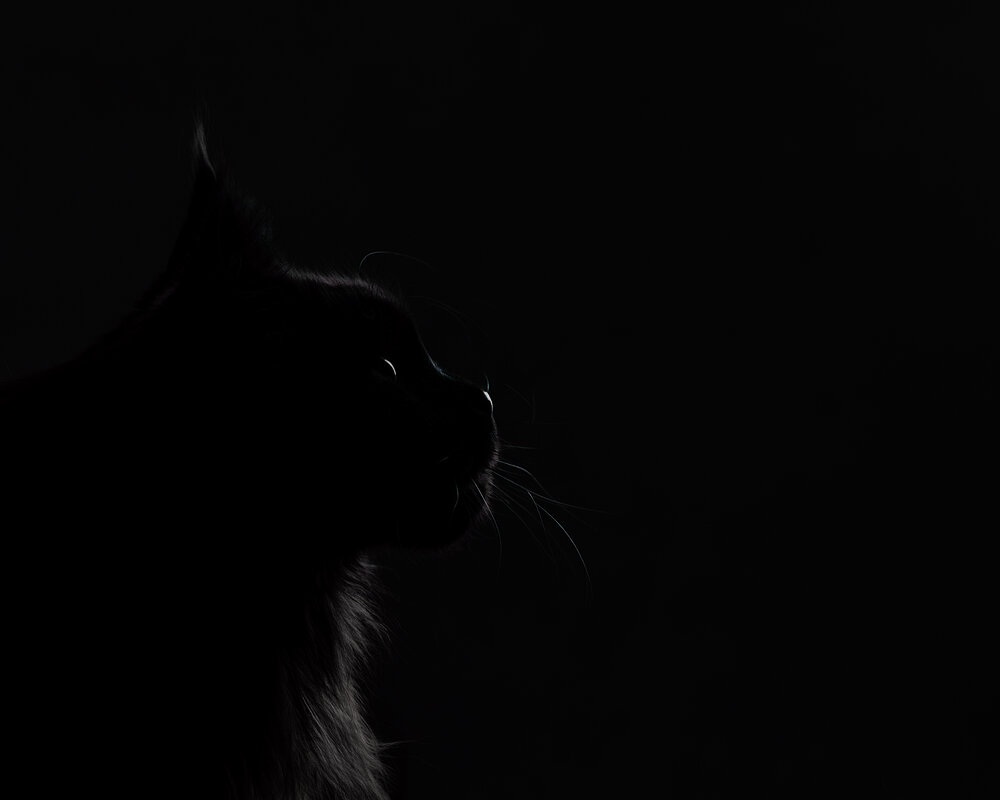 Photograph by Алеся Ермошкина