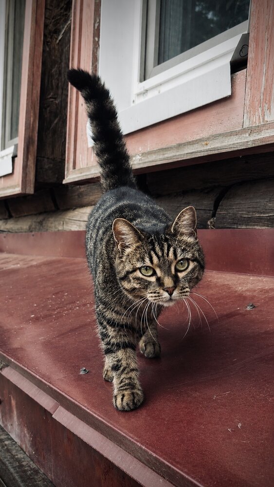Photograph by Дмитрий Бобровский