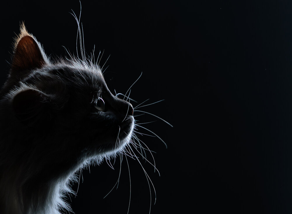 Photograph by Алеся Ермошкина