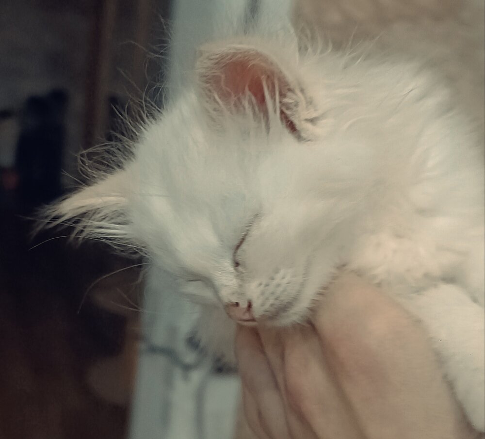 Photograph by Елена Калинина