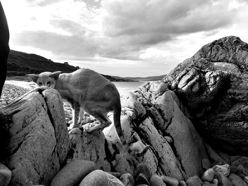 Photograph by Gisella Trapani