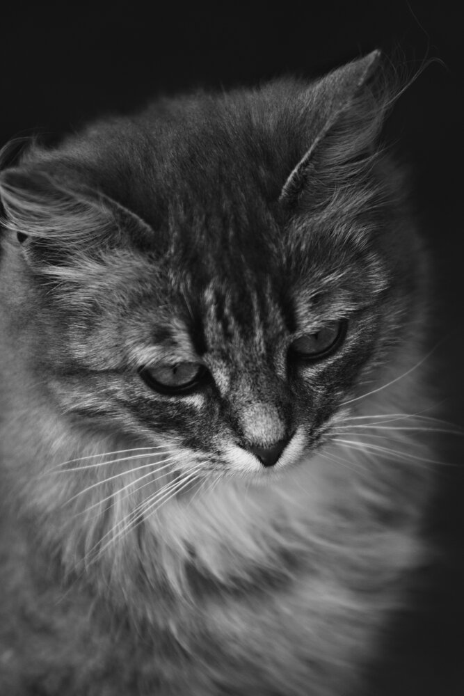 Photograph by Нелли Золотая
