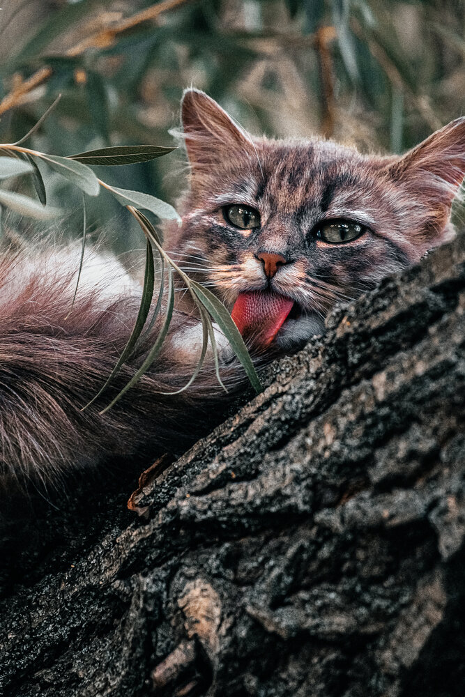 Photograph by Нелли Золотая