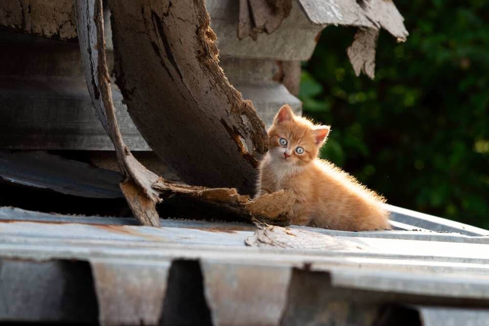 Photograph by Юлия Козельских