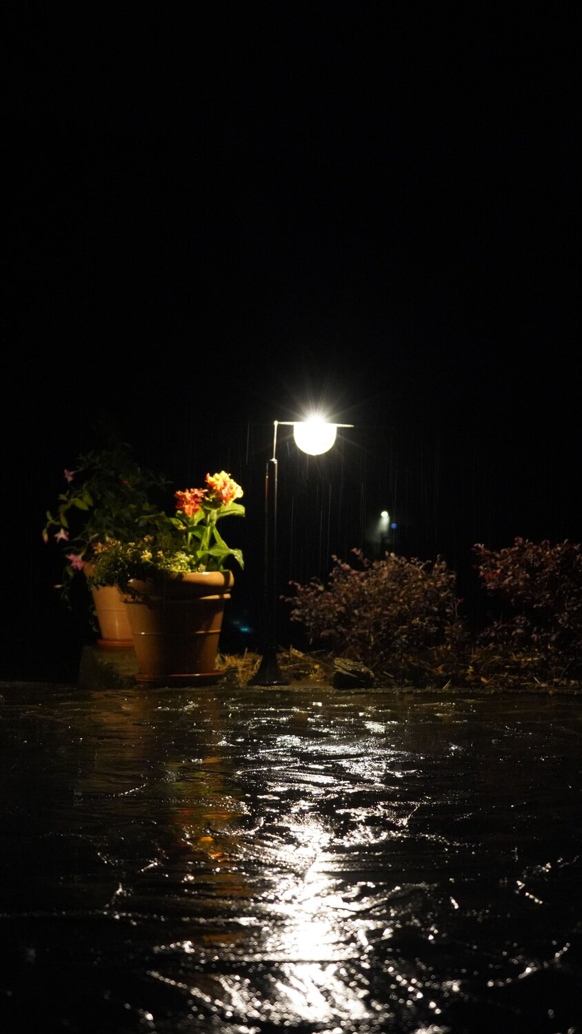 Photo #14040832