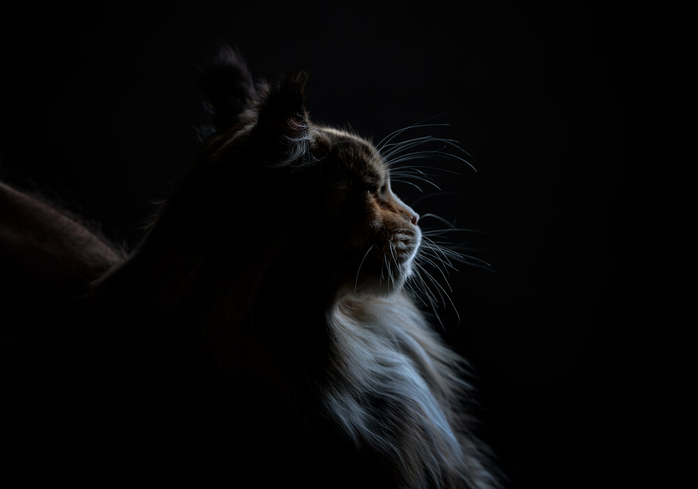 Photograph by Алеся Ермошкина