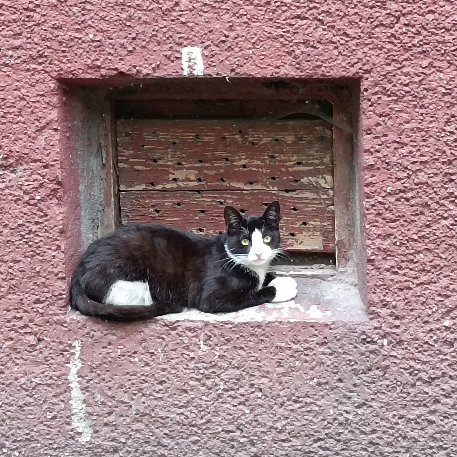 Photo #14040924