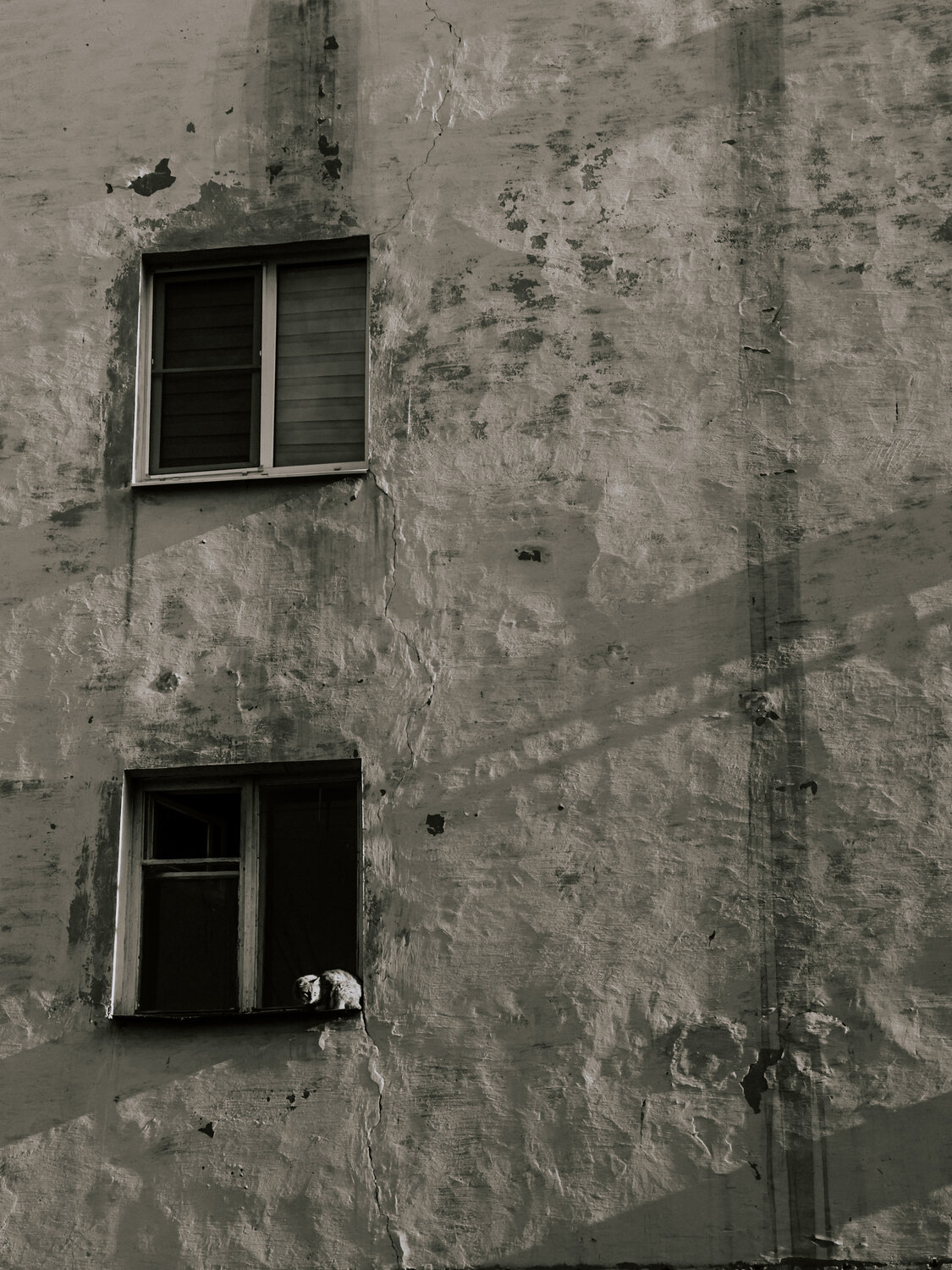 Photo #14040927