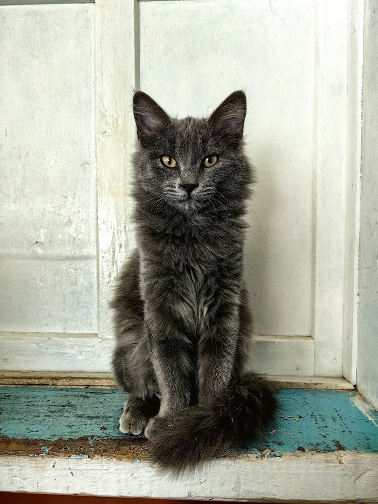 Photograph by Ярославна