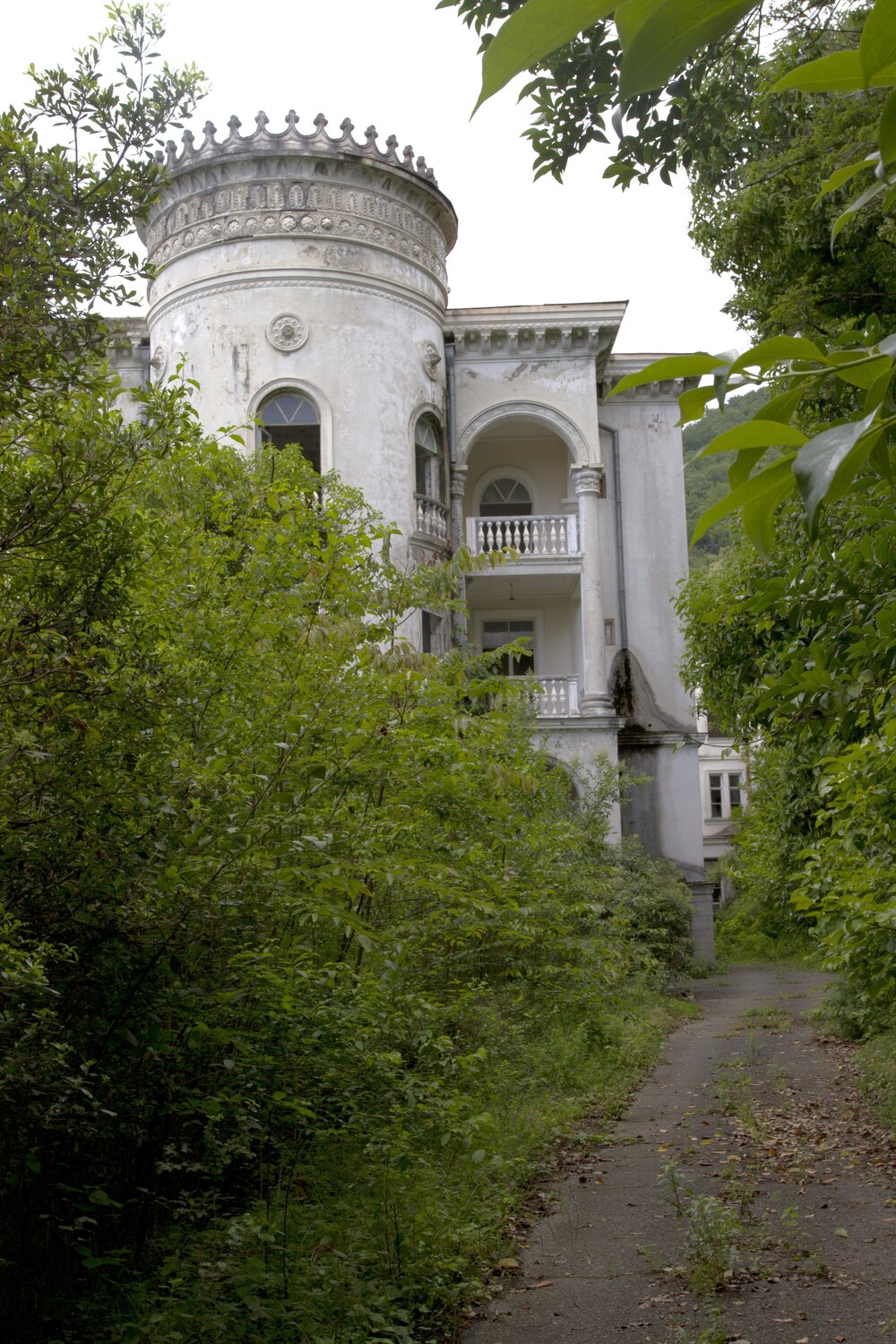 Photo #14040963
