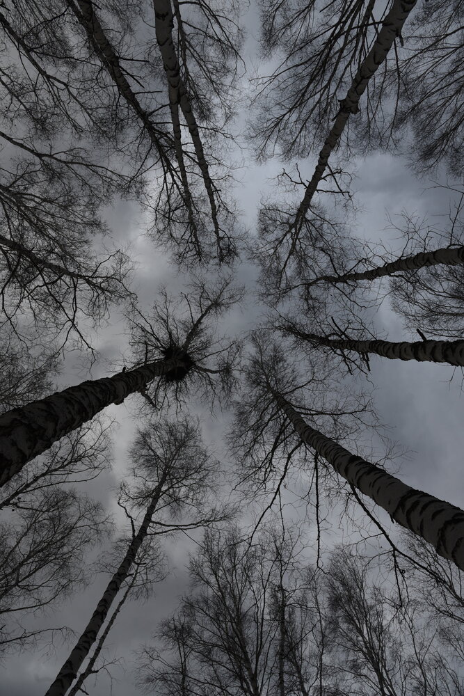 Photograph by Людмила Воропаева