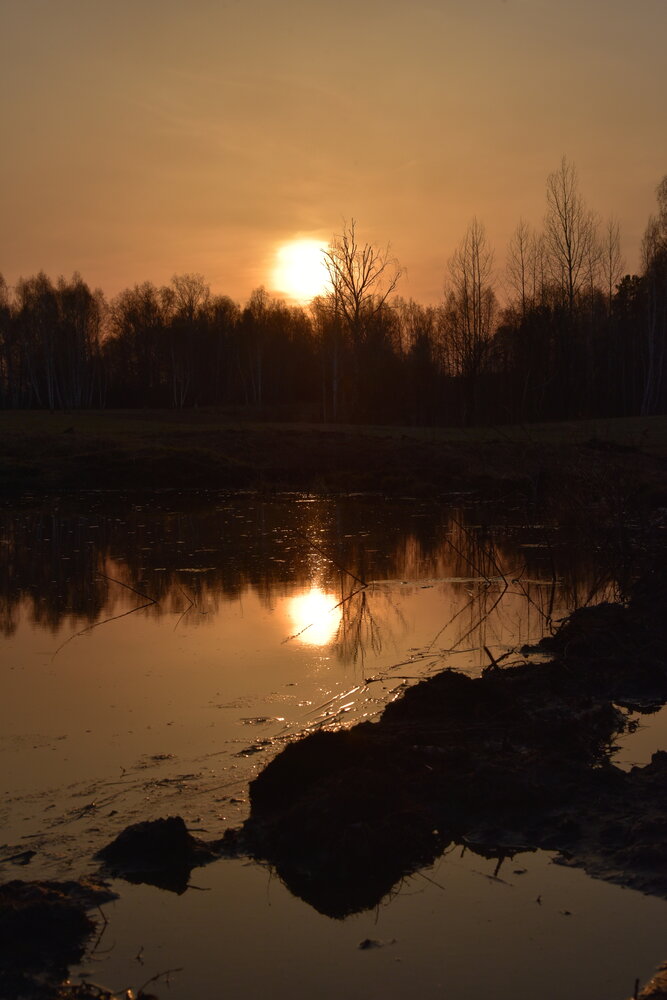Photograph by Людмила Воропаева